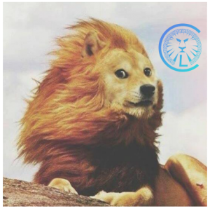 shiba to lion logo